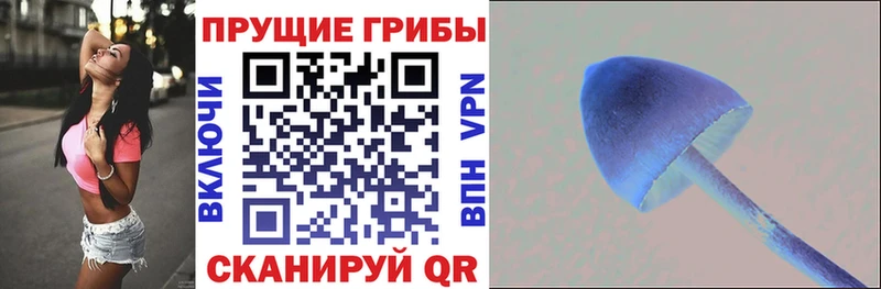 Галлюциногенные грибы Cubensis  Канаш 