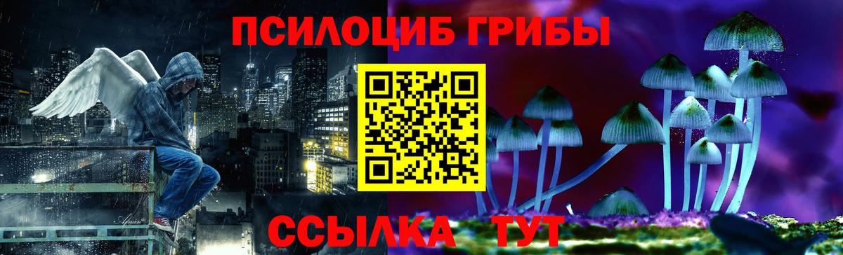 Канаш  купить наркотик  Вход с VPN  Псилоцибиновые грибы мухоморы 